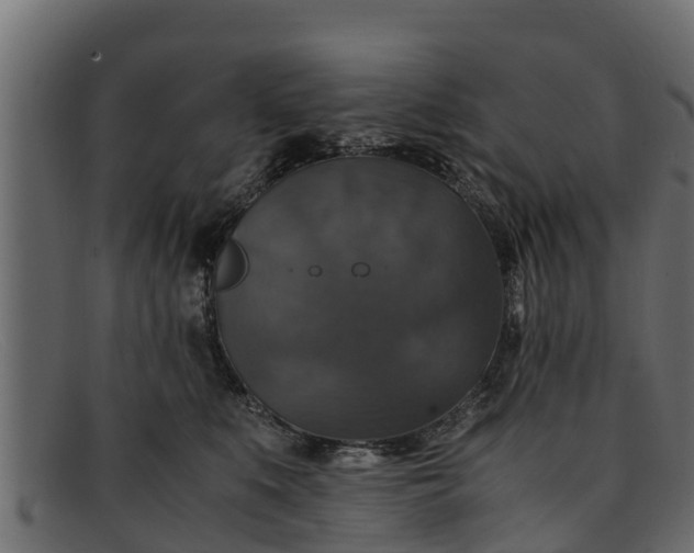 X0000091940519200709191422