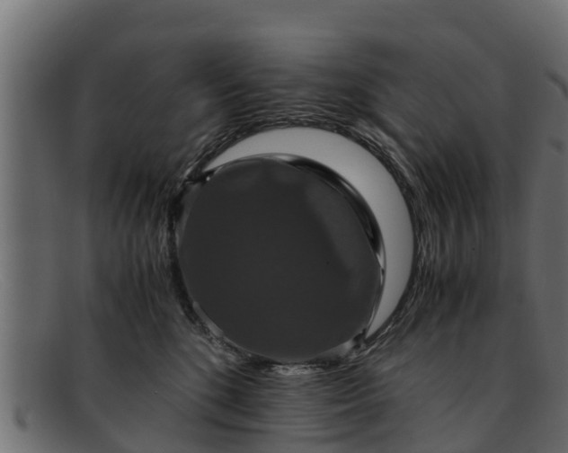 X0000091940520200709191422