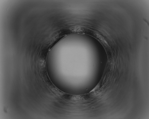 X0000091940521200709191422