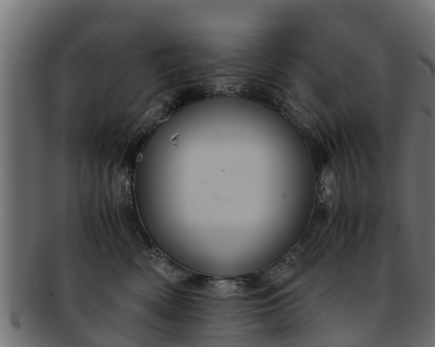 X0000091940522200709191422