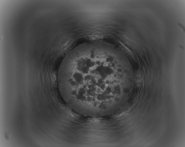 X0000091940523200709191422