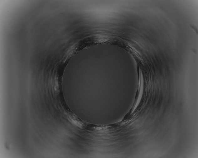 X0000091940524200709191422