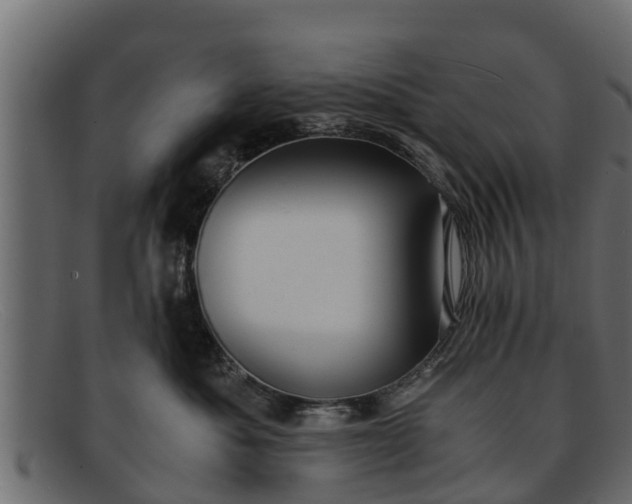 X0000091940525200709191422