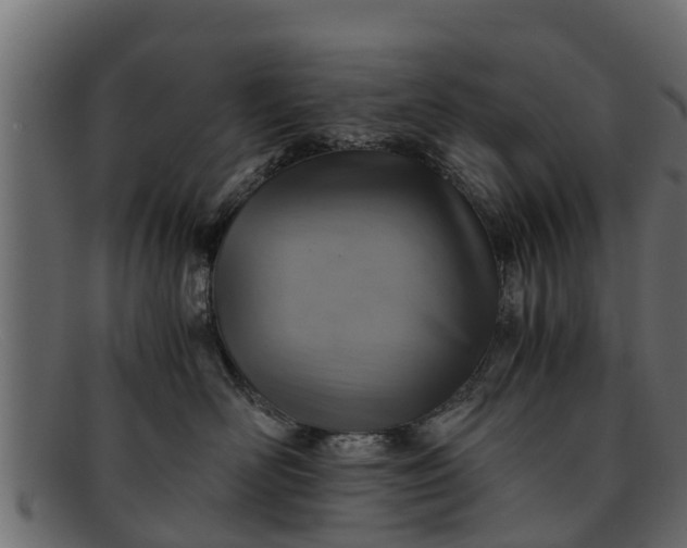 X0000091940526200709191422