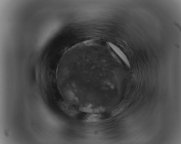 X0000091940527200709191422