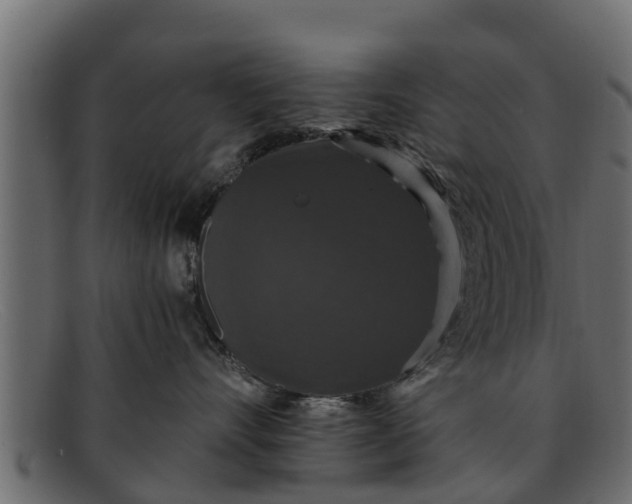 X0000091940528200709191422