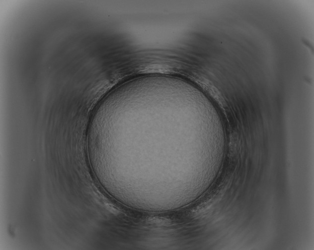 X0000091940529200709191422