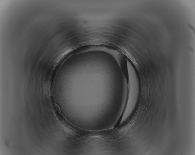 X0000091940530200709191422