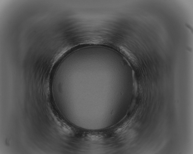 X0000091940532200709191422