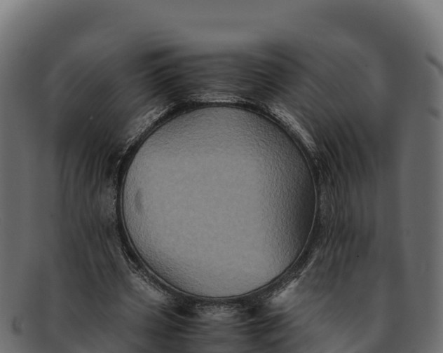 X0000091940533200709191422