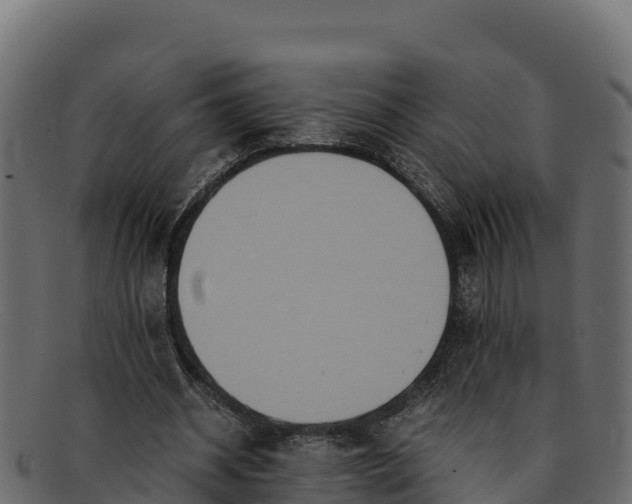 X0000091940534200709191422