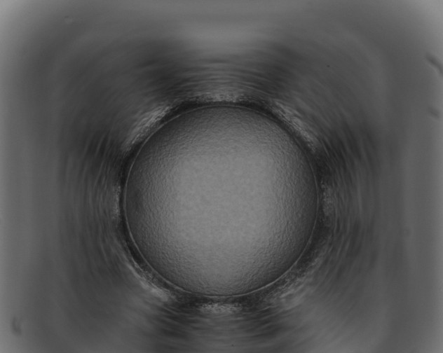 X0000091940537200709191422