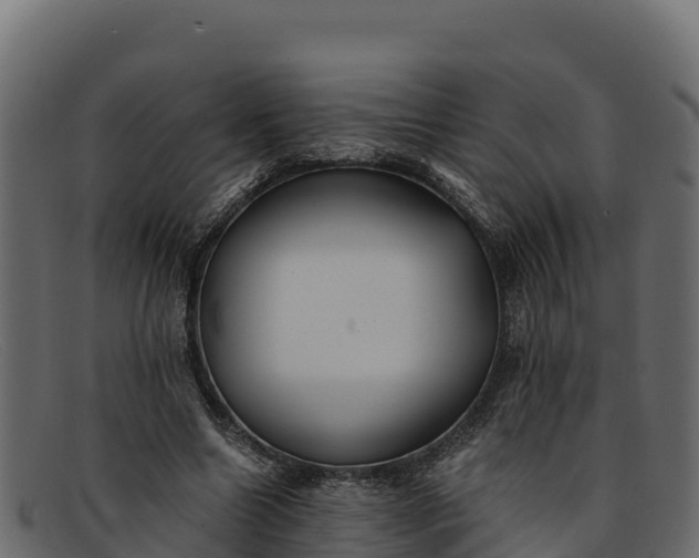 X0000091940538200709191422