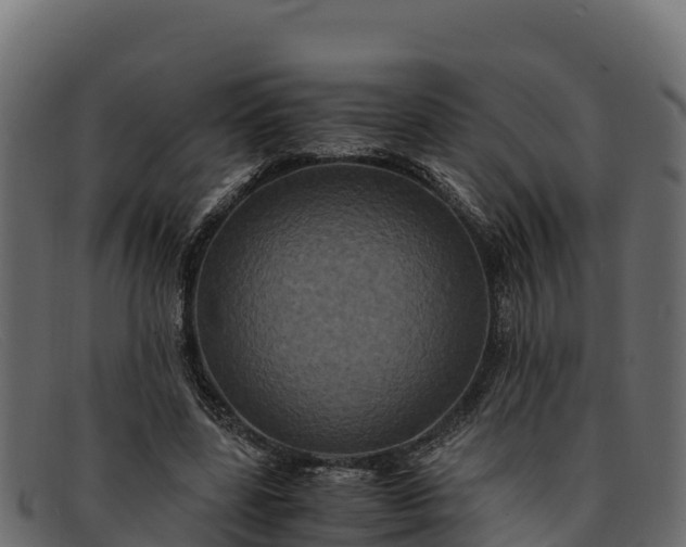 X0000091940539200709191422