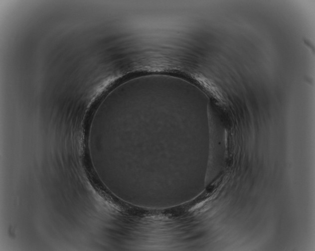 X0000091940540200709191422