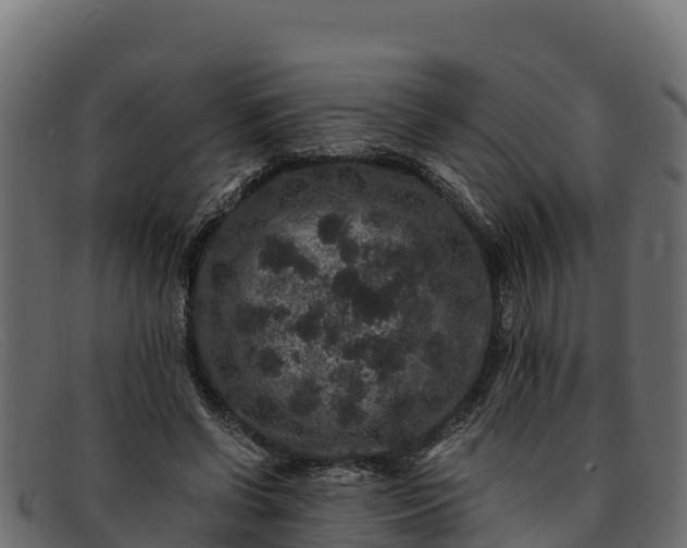 X0000091940542200709191422