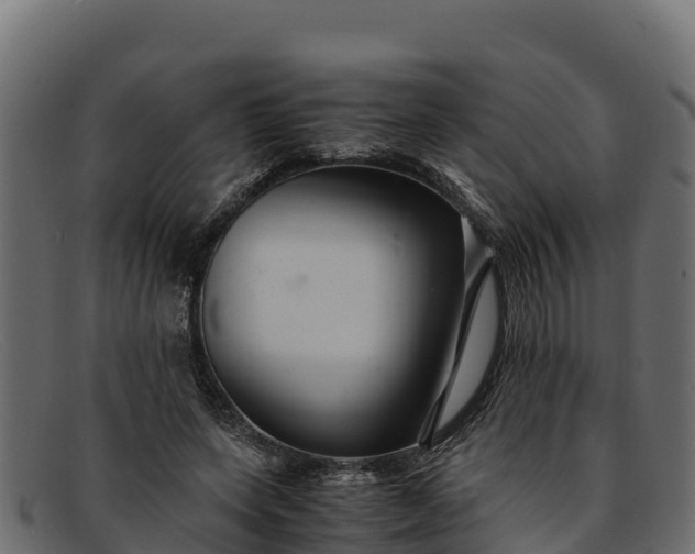 X0000091940543200709191422