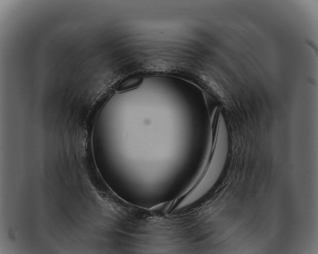 X0000091940544200709191422