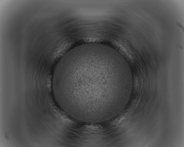 X0000091940545200709191422