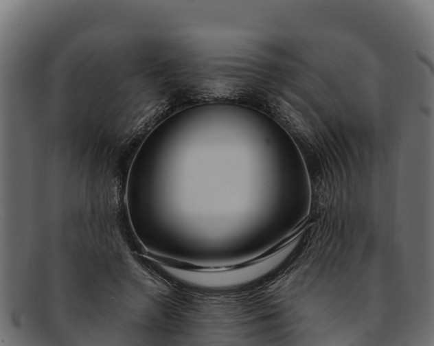 X0000091940546200709191422