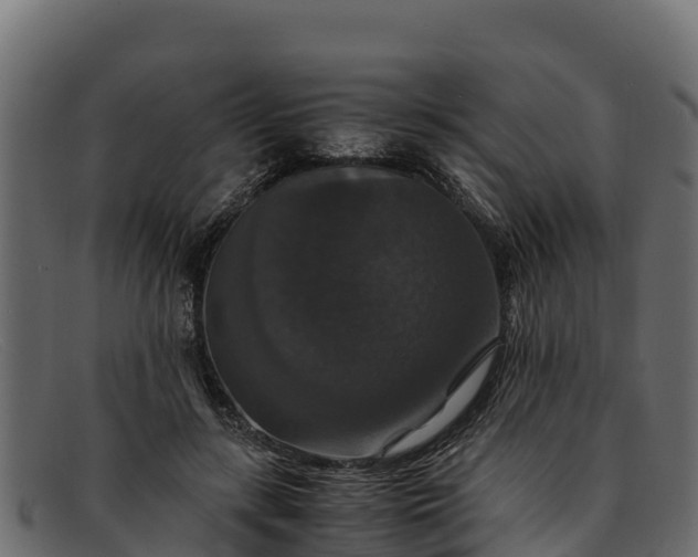 X0000091940547200709191422