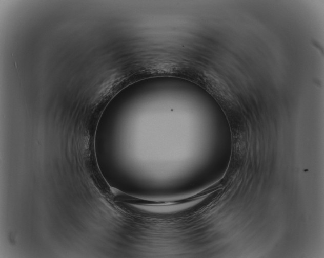 X0000091940548200709191422