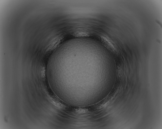 X0000091940549200709191422