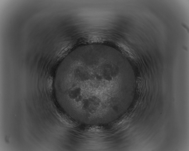 X0000091940550200709191422