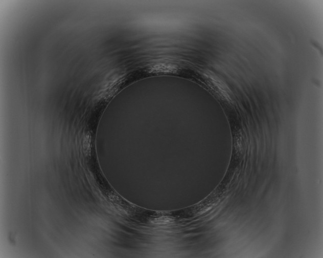 X0000091940551200709191422