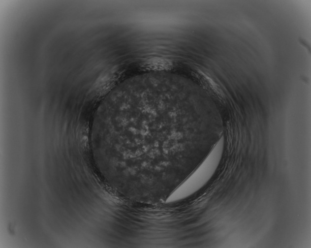 X0000091940553200709191422