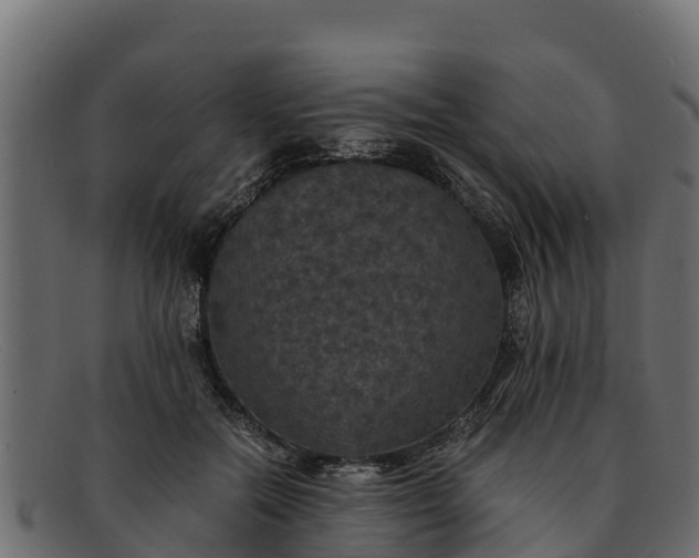 X0000091940554200709191422