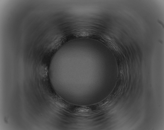 X0000091940555200709191422