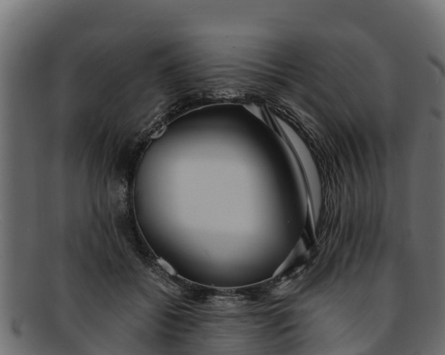 X0000091940556200709191422