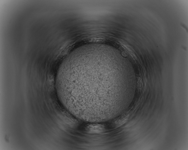 X0000091940557200709191422