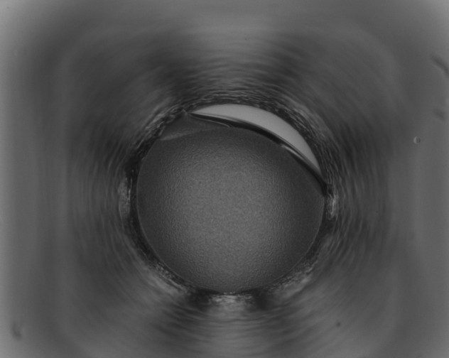 X0000091940558200709191422