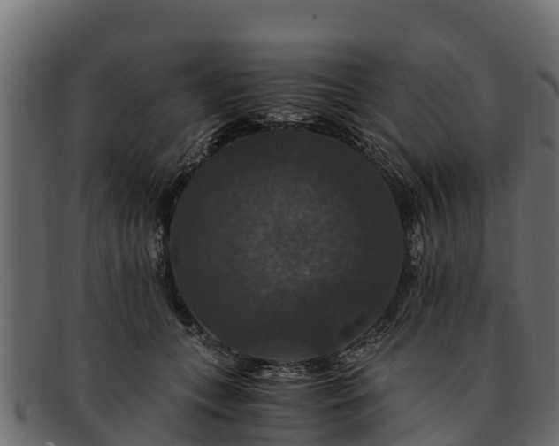 X0000091940559200709191422