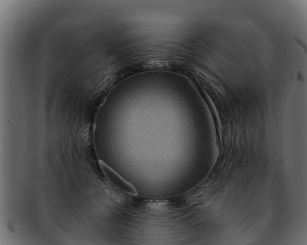 X0000091940560200709191422