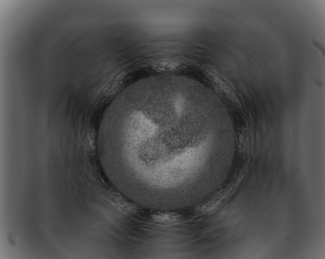 X0000091940561200709191422