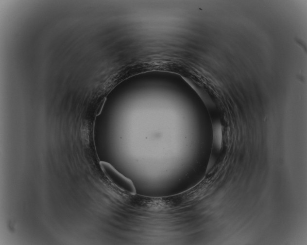 X0000091940562200709191422