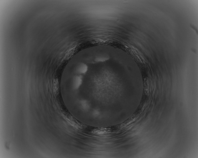 X0000091940563200709191422