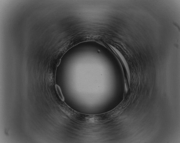 X0000091940564200709191422