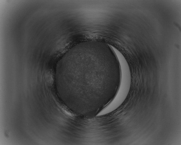 X0000091940566200709191422