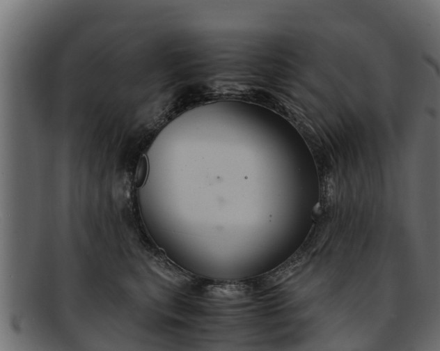 X0000091940567200709191422