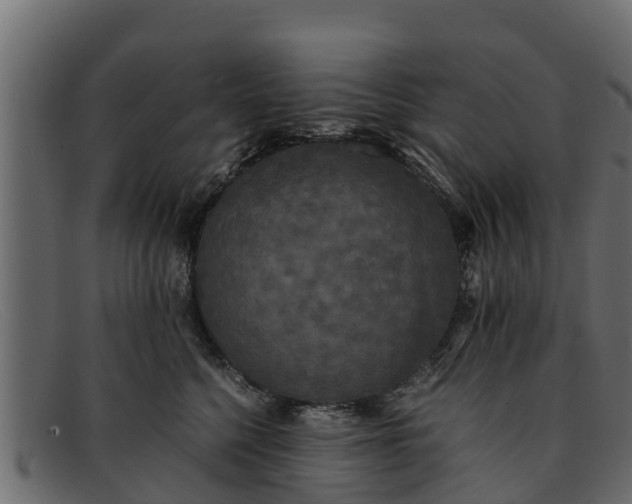 X0000091940568200709191422