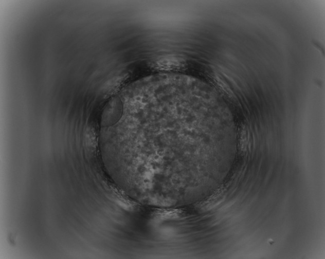 X0000091940569200709191422