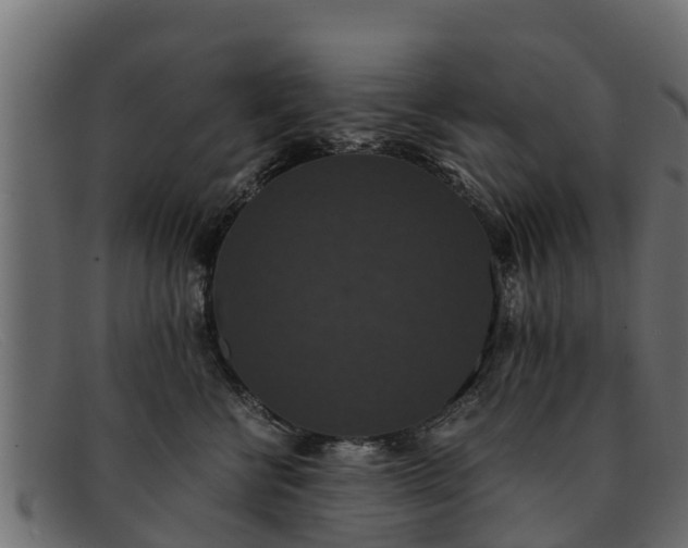 X0000091940570200709191422