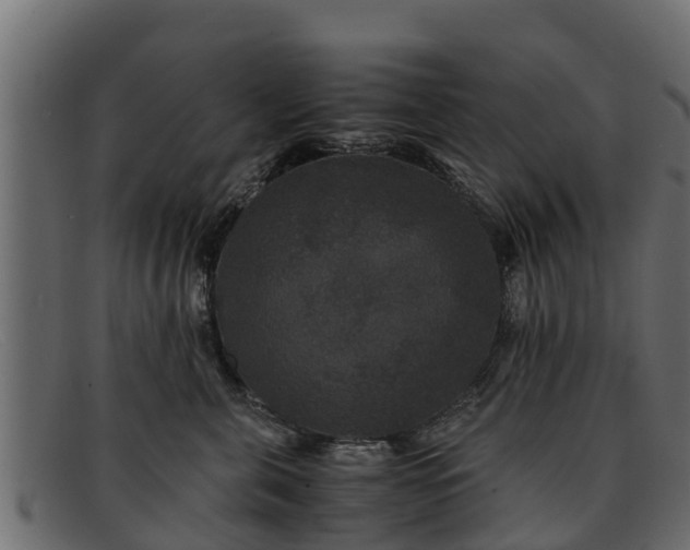 X0000091940571200709191422