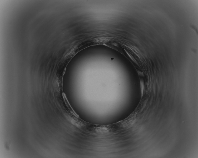 X0000091940572200709191422