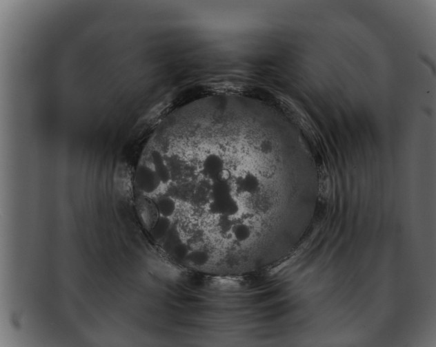 X0000091940573200709191422