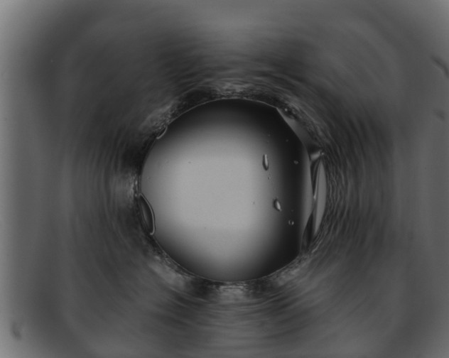 X0000091940574200709191422